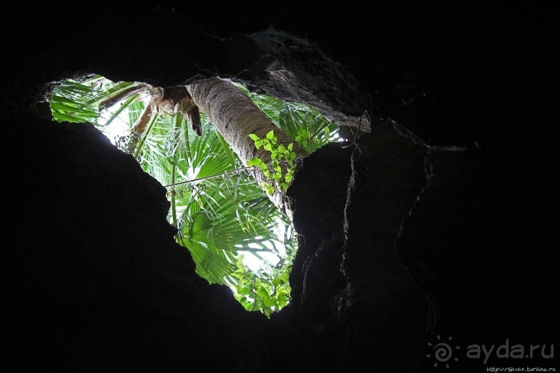 У пещеры нет плохой погоды. Купания в Cathedral Cave У пещеры нет плохой погоды. Купания в Cathedral Cave
