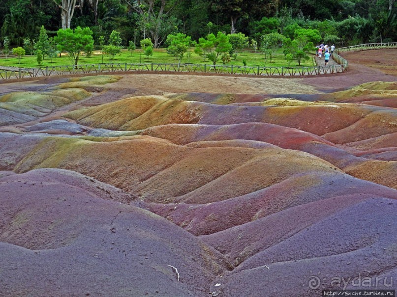 Дюна ты, крашенная! — Вообще-то, это мой натуральный цвет