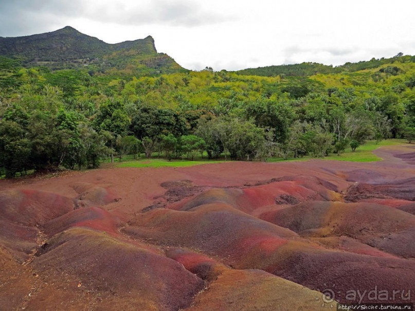 Дюна ты, крашенная! — Вообще-то, это мой натуральный цвет