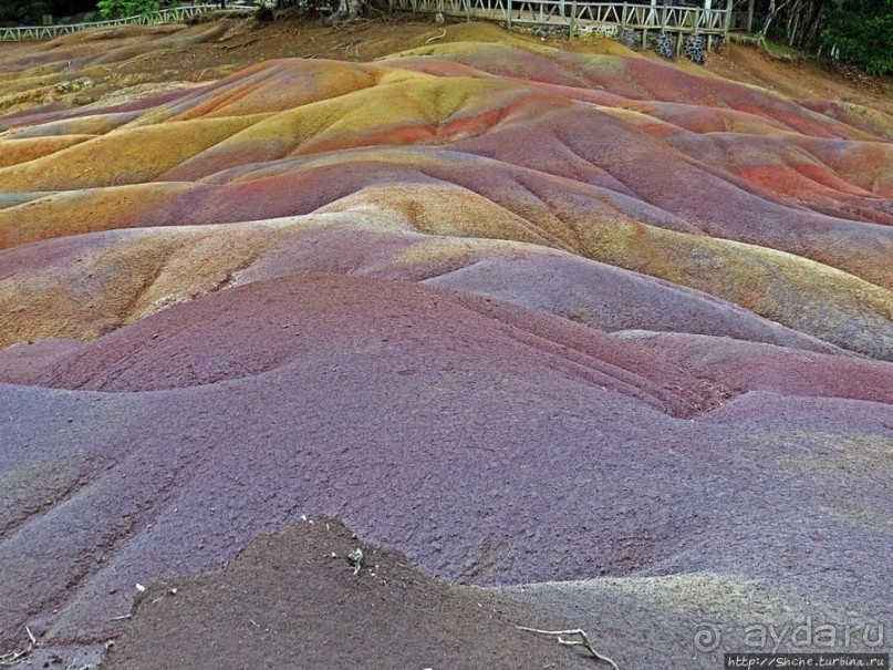 Дюна ты, крашенная! — Вообще-то, это мой натуральный цвет