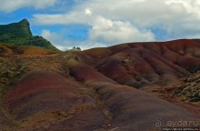 Дюна ты, крашенная! — Вообще-то, это мой натуральный цвет