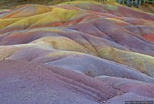 Дюна ты, крашенная! — Вообще-то, это мой натуральный цвет