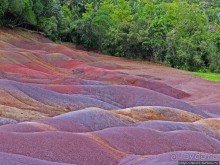 Дюна ты, крашенная! — Вообще-то, это мой натуральный цвет