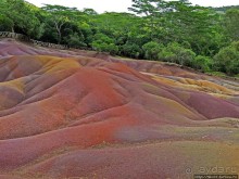 Дюна ты, крашенная! — Вообще-то, это мой натуральный цвет