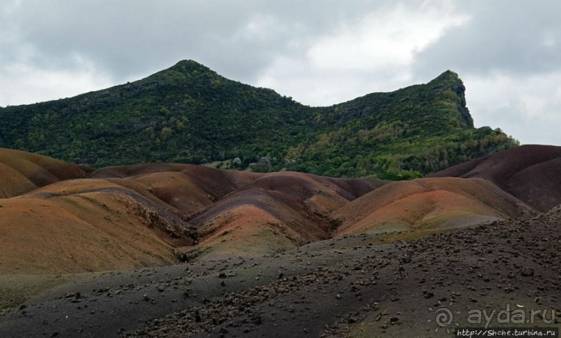 Дюна ты, крашенная! — Вообще-то, это мой натуральный цвет