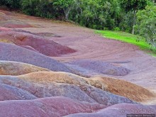 Дюна ты, крашенная! — Вообще-то, это мой натуральный цвет