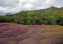 Дюна ты, крашенная! — Вообще-то, это мой натуральный цвет