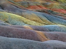 Дюна ты, крашенная! — Вообще-то, это мой натуральный цвет