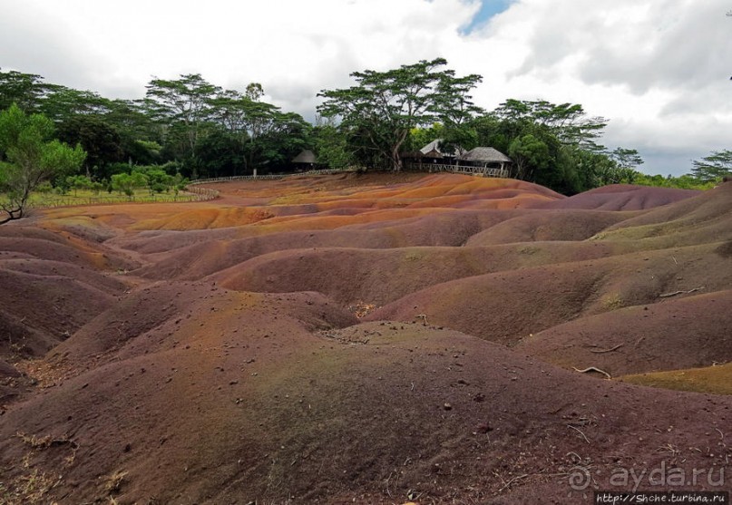 Дюна ты, крашенная! — Вообще-то, это мой натуральный цвет