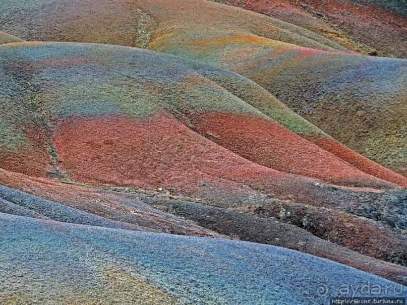 Дюна ты, крашенная! — Вообще-то, это мой натуральный цвет