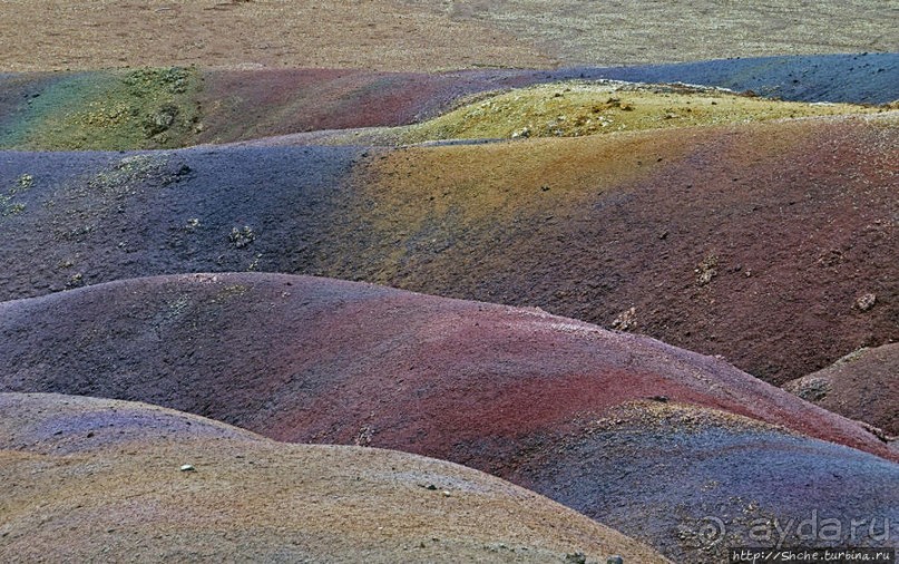 Дюна ты, крашенная! — Вообще-то, это мой натуральный цвет