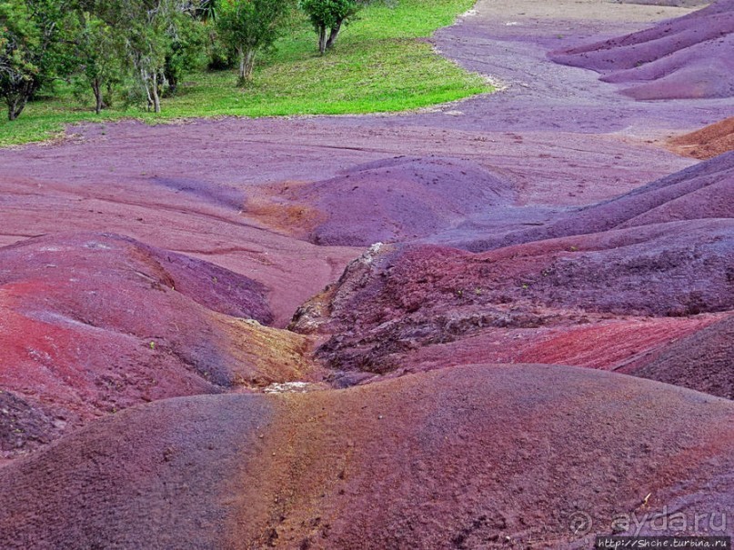 Дюна ты, крашенная! — Вообще-то, это мой натуральный цвет
