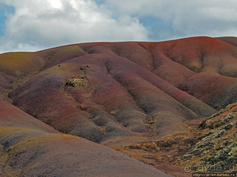 Дюна ты, крашенная! — Вообще-то, это мой натуральный цвет