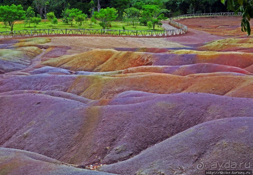 Дюна ты, крашенная! — Вообще-то, это мой натуральный цвет