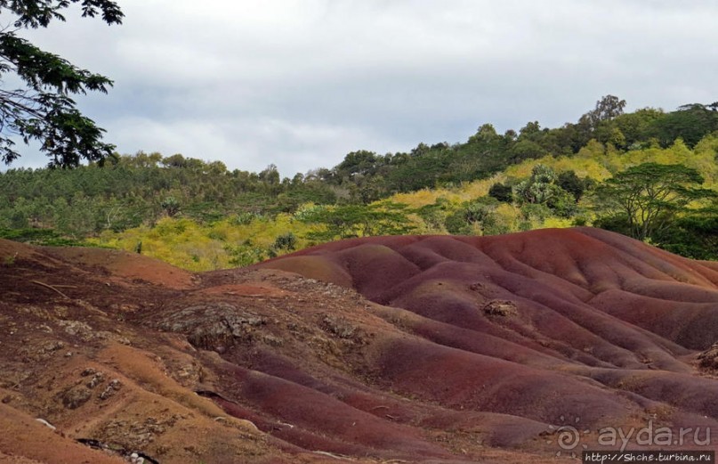 Дюна ты, крашенная! — Вообще-то, это мой натуральный цвет