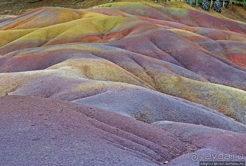 Дюна ты, крашенная! — Вообще-то, это мой натуральный цвет