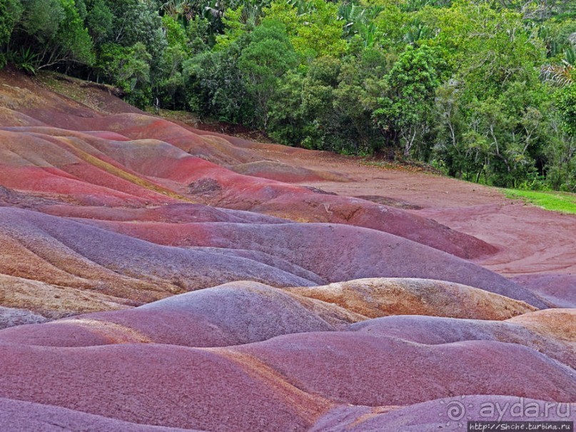 Дюна ты, крашенная! — Вообще-то, это мой натуральный цвет