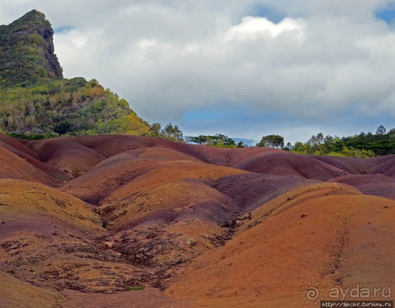 Дюна ты, крашенная! — Вообще-то, это мой натуральный цвет