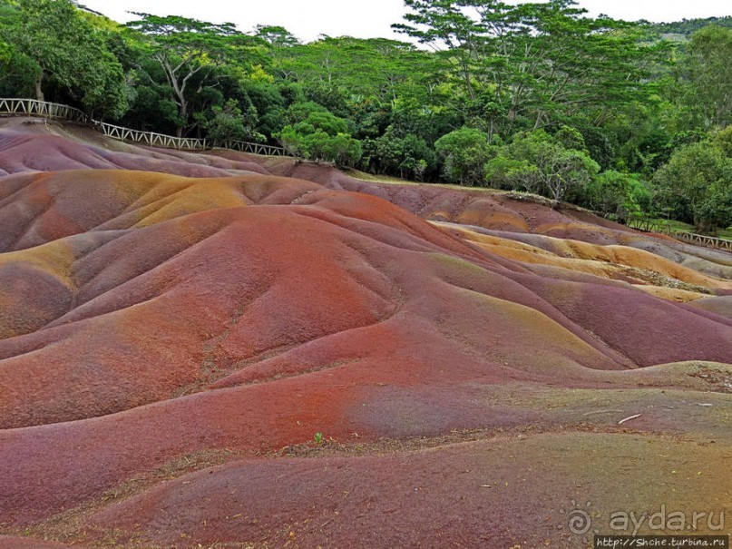Дюна ты, крашенная! — Вообще-то, это мой натуральный цвет