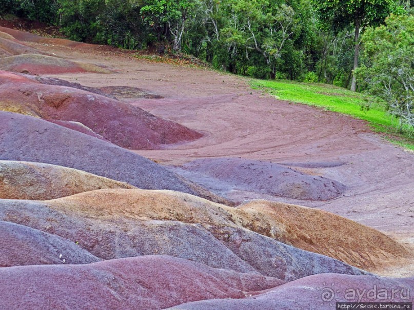 Дюна ты, крашенная! — Вообще-то, это мой натуральный цвет