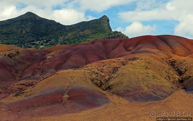 Дюна ты, крашенная! — Вообще-то, это мой натуральный цвет