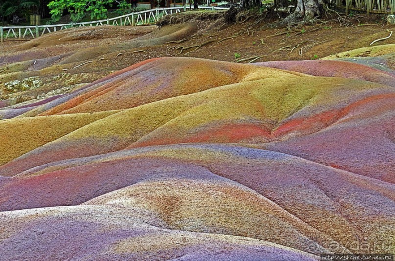 Дюна ты, крашенная! — Вообще-то, это мой натуральный цвет