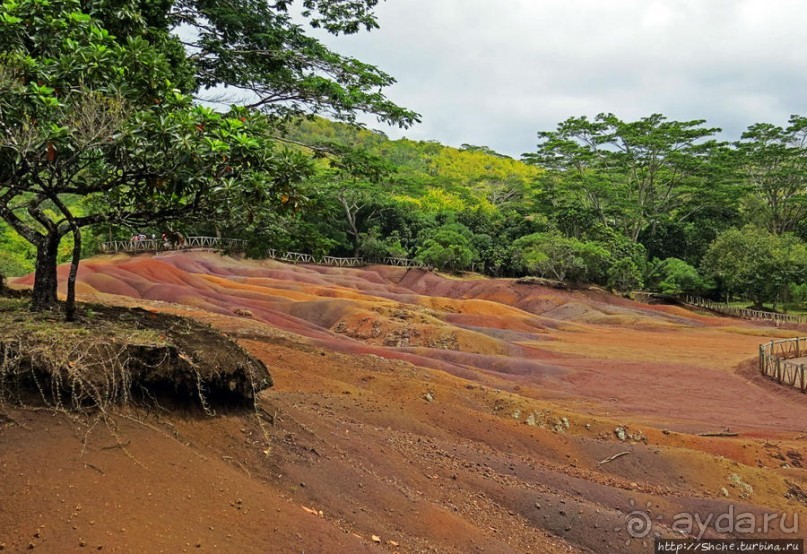 Дюна ты, крашенная! — Вообще-то, это мой натуральный цвет