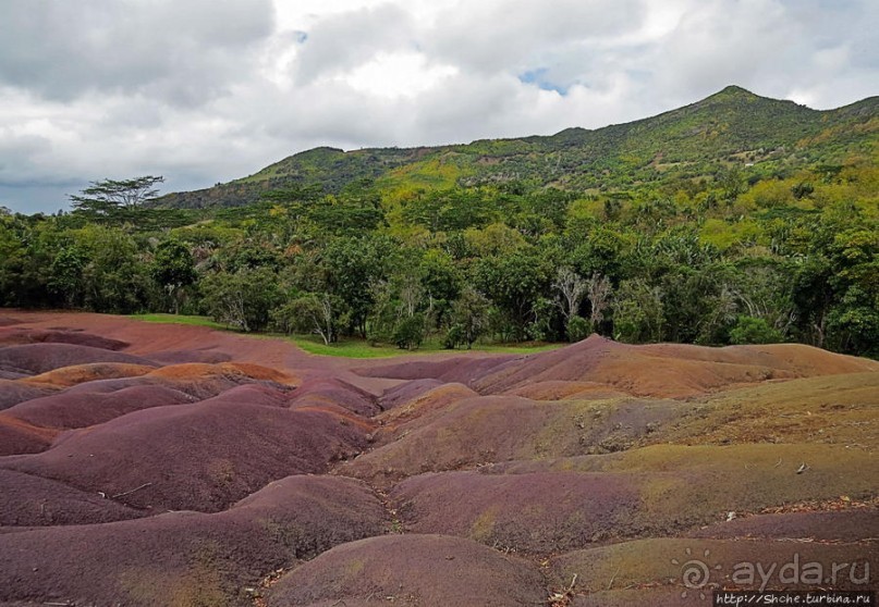 Дюна ты, крашенная! — Вообще-то, это мой натуральный цвет