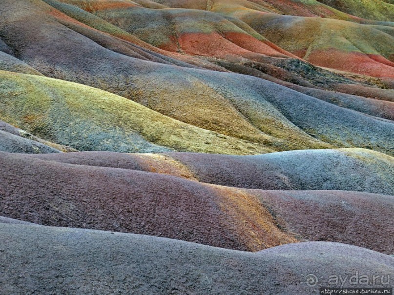 Дюна ты, крашенная! — Вообще-то, это мой натуральный цвет