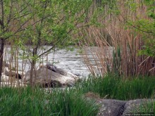 Юж. Буг- день 4, порог "Интеграл", очень красиво и не опасно