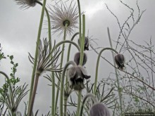 Юж. Буг- день 4, порог "Интеграл", очень красиво и не опасно