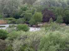 Юж. Буг- день 4, порог "Интеграл", очень красиво и не опасно