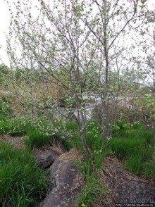 Юж. Буг- день 4, порог "Интеграл", очень красиво и не опасно