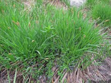 Юж. Буг- день 4, порог "Интеграл", очень красиво и не опасно