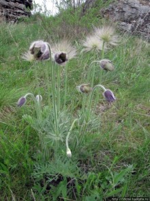 Юж. Буг- день 4, порог "Интеграл", очень красиво и не опасно