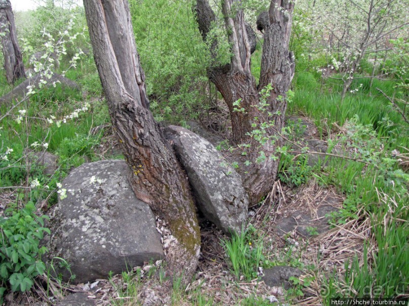 Юж. Буг- день 4, порог "Интеграл", очень красиво и не опасно