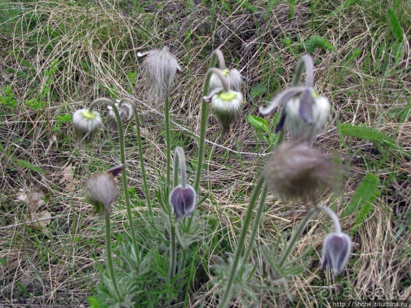 Юж. Буг- день 4, порог "Интеграл", очень красиво и не опасно