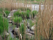 Юж. Буг- день 4, порог "Интеграл", очень красиво и не опасно