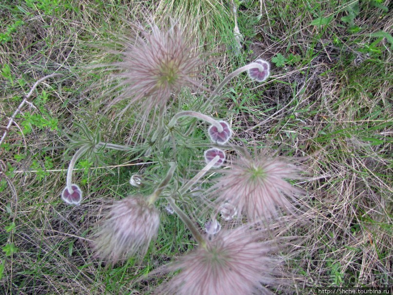 Юж. Буг- день 4, порог "Интеграл", очень красиво и не опасно