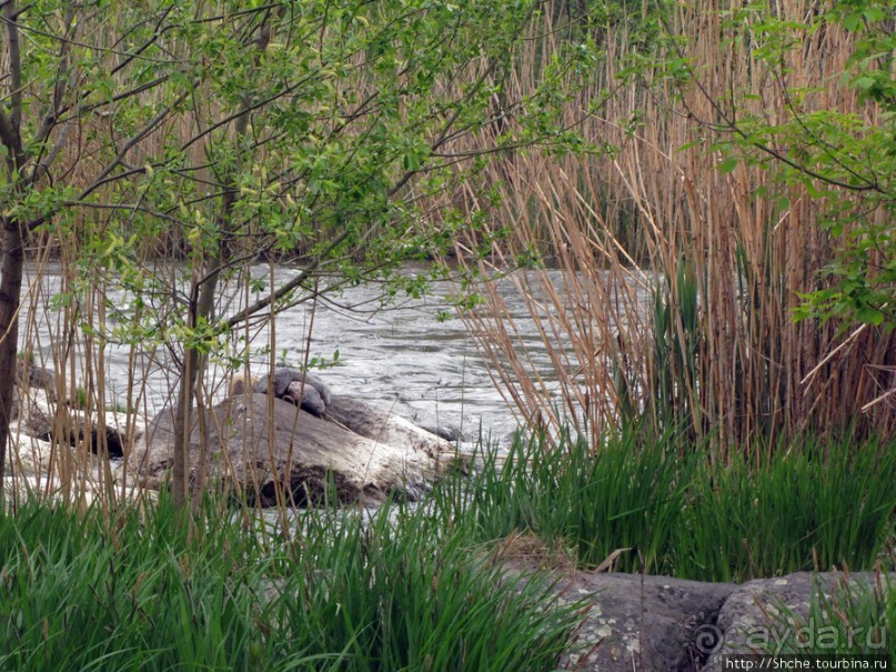 Юж. Буг- день 4, порог "Интеграл", очень красиво и не опасно