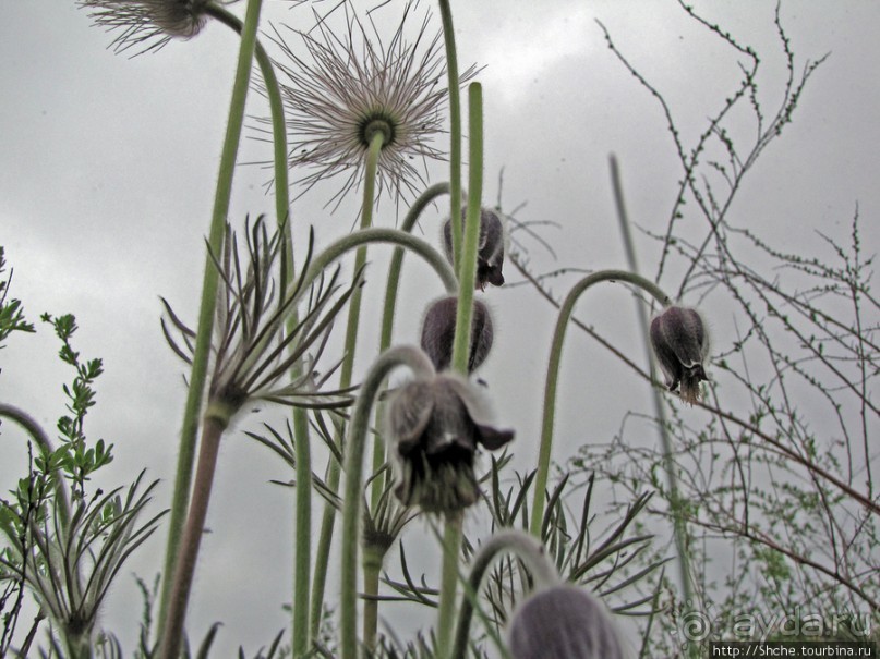 Юж. Буг- день 4, порог "Интеграл", очень красиво и не опасно