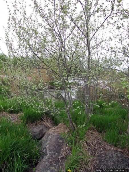 Юж. Буг- день 4, порог "Интеграл", очень красиво и не опасно