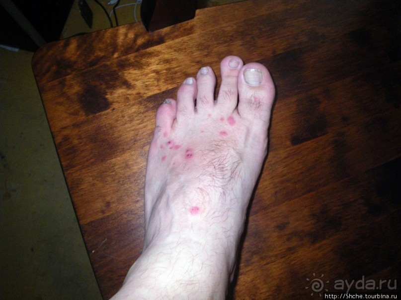 Юж. Буг- день 4, порог "Интеграл", очень красиво и не опасно