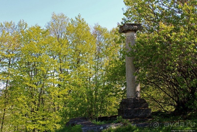 Парк вокруг Олесского замка