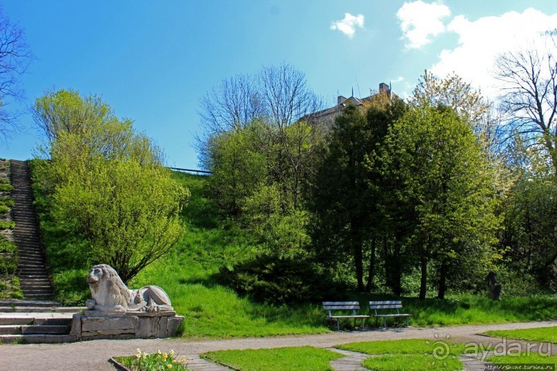 Парк вокруг Олесского замка