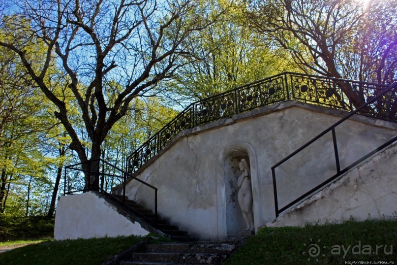 Парк вокруг Олесского замка