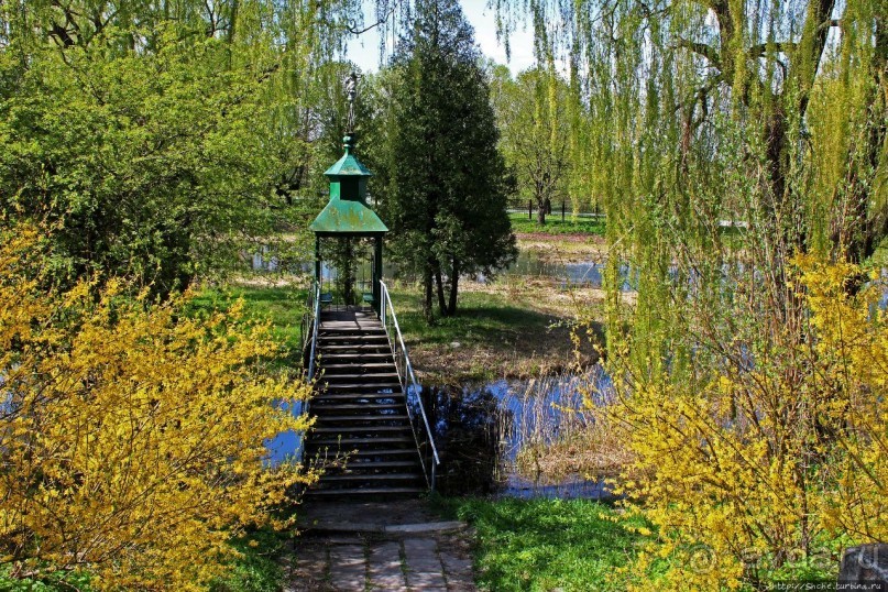 Парк вокруг Олесского замка