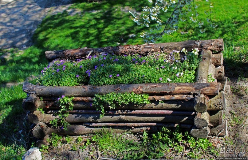 Парк вокруг Олесского замка