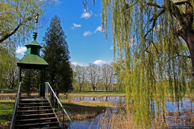 Парк вокруг Олесского замка