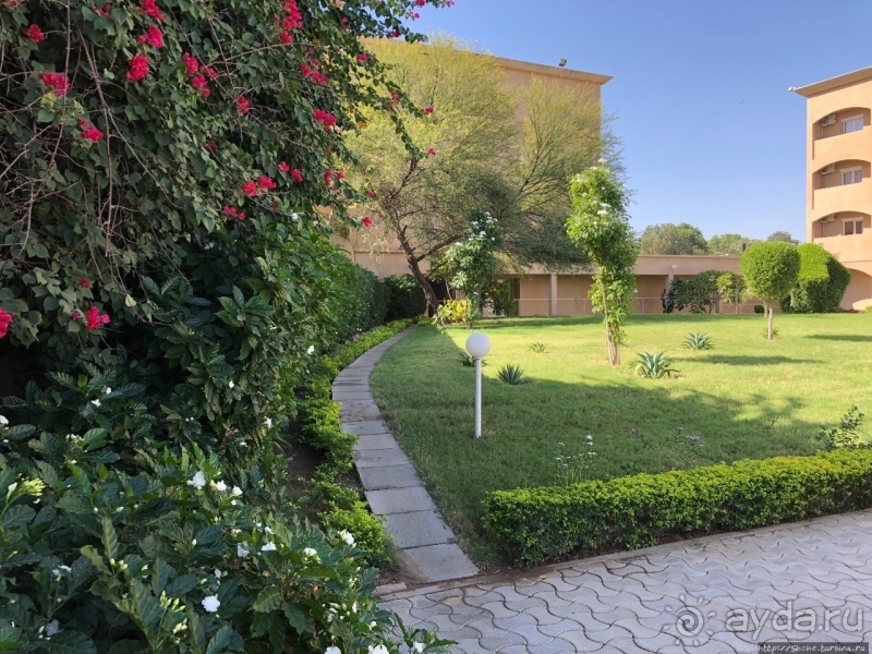 А из нашего окошка аэропорт видать немножко